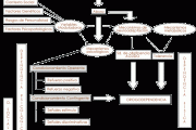 Drogodependencias: Marco conceptual