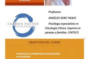 Ángeles Sanz imparte curso presencial y online sobre las familias reconstituidas